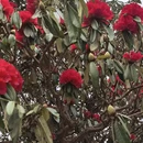 毕节旅游 缩略图 5