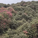 毕节旅游 缩略图 7