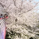 宁波旅游 缩略图 6