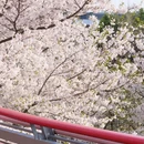 宁波旅游 缩略图 9
