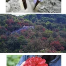 毕节旅游 缩略图 2