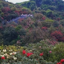 毕节旅游 缩略图 3