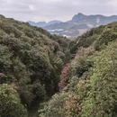 毕节旅游 缩略图 9