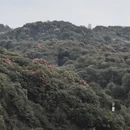 毕节旅游 缩略图 11