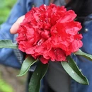 毕节旅游 缩略图 6