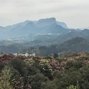 毕节旅游 缩略图 2