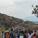 毕节旅游 缩略图 5