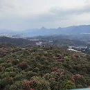 毕节旅游 缩略图 4