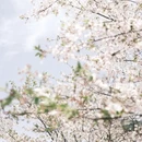 宁波旅游 缩略图 5