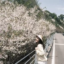 宁波旅游 缩略图 7