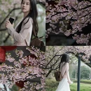 宁波旅游 缩略图 1