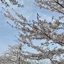 宁波旅游 缩略图 4
