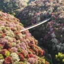 毕节旅游 缩略图 3
