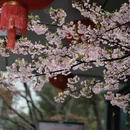 宁波旅游 缩略图 5