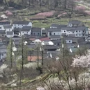 宁波旅游 缩略图 7