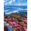 毕节旅游 缩略图 6