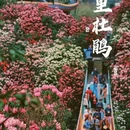 毕节旅游 缩略图 5