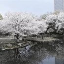 宁波旅游 缩略图 1