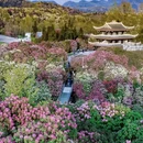 贵阳旅游 缩略图 1