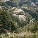 宁波旅游 缩略图 1
