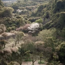 宁波旅游 缩略图 2