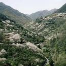 宁波旅游 缩略图 8