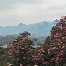 毕节旅游 缩略图 6