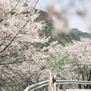 宁波旅游 缩略图 9