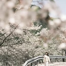 宁波旅游 缩略图 10