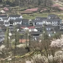 宁波旅游 缩略图 3