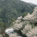 宁波旅游 缩略图 14