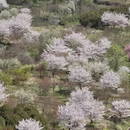 宁波旅游 缩略图 6
