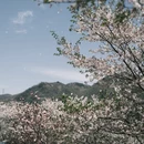 宁波旅游 缩略图 13
