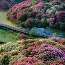 贵阳旅游 缩略图 2