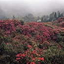 毕节旅游 缩略图 3
