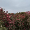 毕节旅游 缩略图 5
