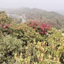 毕节旅游 缩略图 4