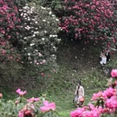 遵义旅游 缩略图 8