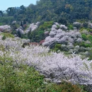 宁波旅游 缩略图 2