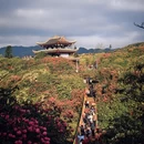 毕节旅游 缩略图 6