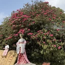 毕节旅游 缩略图 6