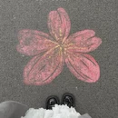 毕节旅游 缩略图 7