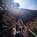 毕节旅游 缩略图 5