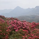 遵义旅游 缩略图 10