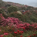 遵义旅游 缩略图 11