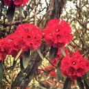 毕节旅游 缩略图 8