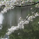 宁波旅游 缩略图 7