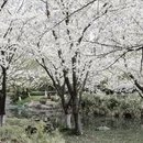 宁波旅游 缩略图 6