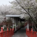 宁波旅游 缩略图 8