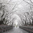宁波旅游 缩略图 9